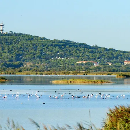 Les Maisons Sur La Plage-3 By Interhome *